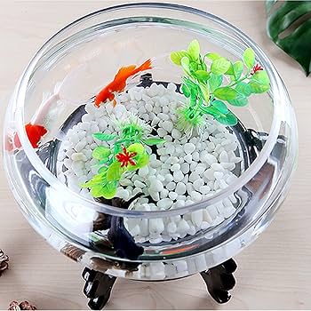 Amazon | 金魚鉢 ミニ魚タンク 水槽 丸型金魚鉢 ガラス 容器